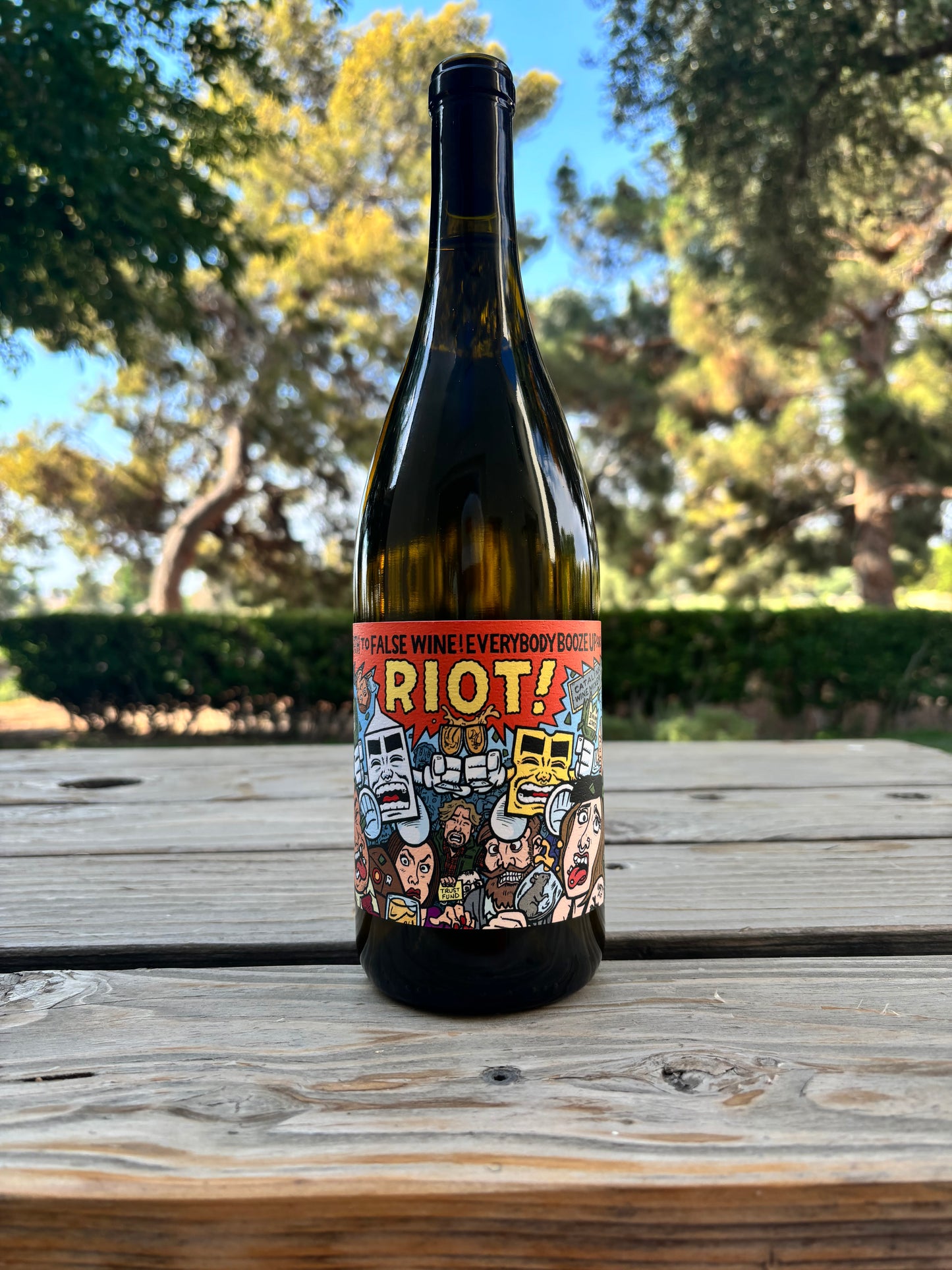 Jupiter Wine Co. 'Las Cimas Vineyard' Riot! Vermentino California, USA 2022