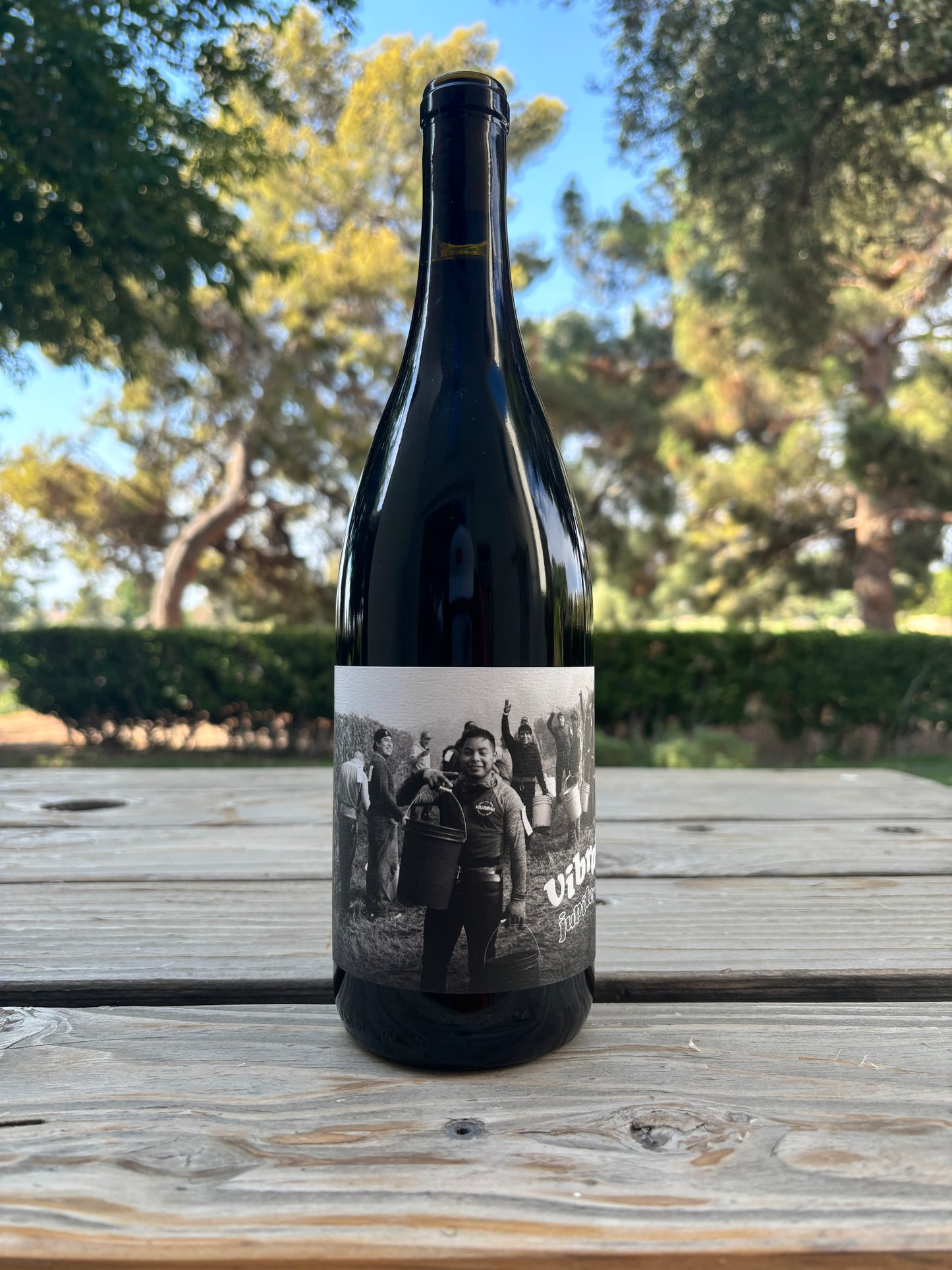 Jupiter Wine Company 'Fox Hill Farm Vineyard' Vibaration Sangiovese California, USA 2021